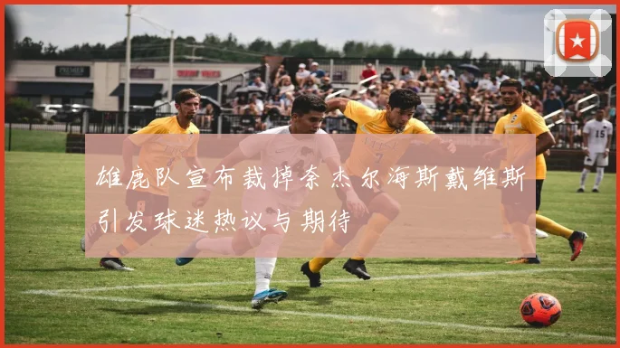雄鹿队宣布裁掉奈杰尔海斯戴维斯引发球迷热议与期待